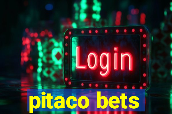 pitaco bets